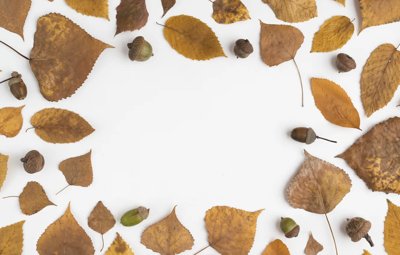 Photo wallpaper autumn, leaves, background, colorful, background, autumn, leaves, autumn