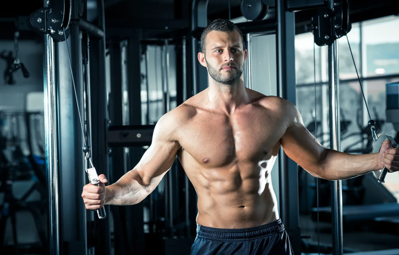 Photo wallpaper look, pose, Muscle, fitness, muscle, press, trainer, athlete