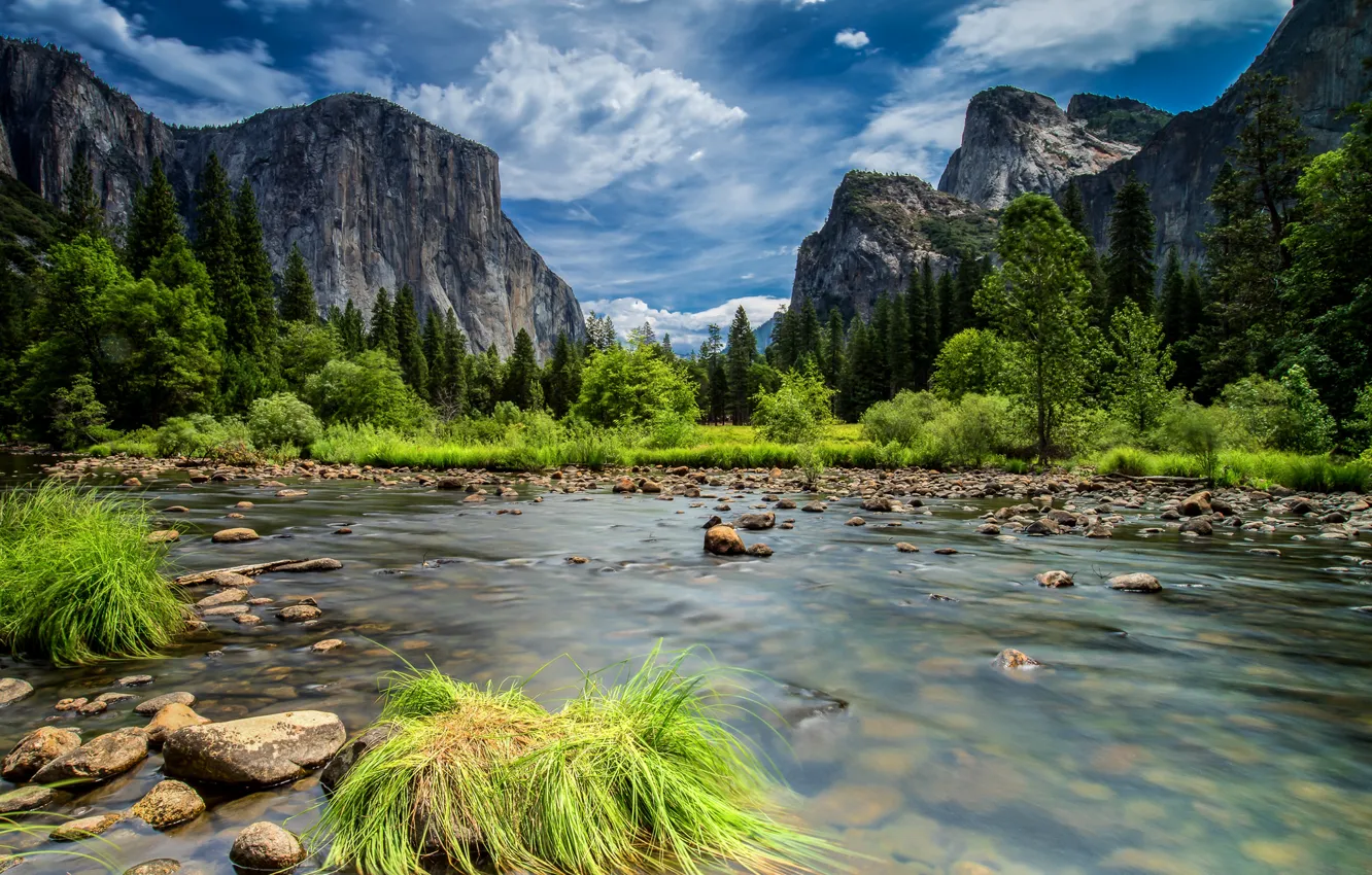 Photo wallpaper forest, the sky, clouds, trees, mountains, lake, rocks, Yosemite