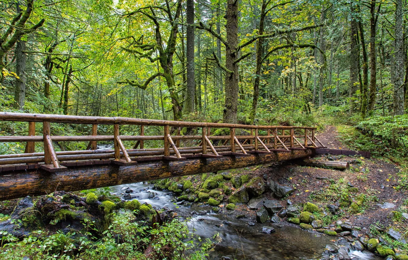 Photo wallpaper landscape, bridge, Park, river