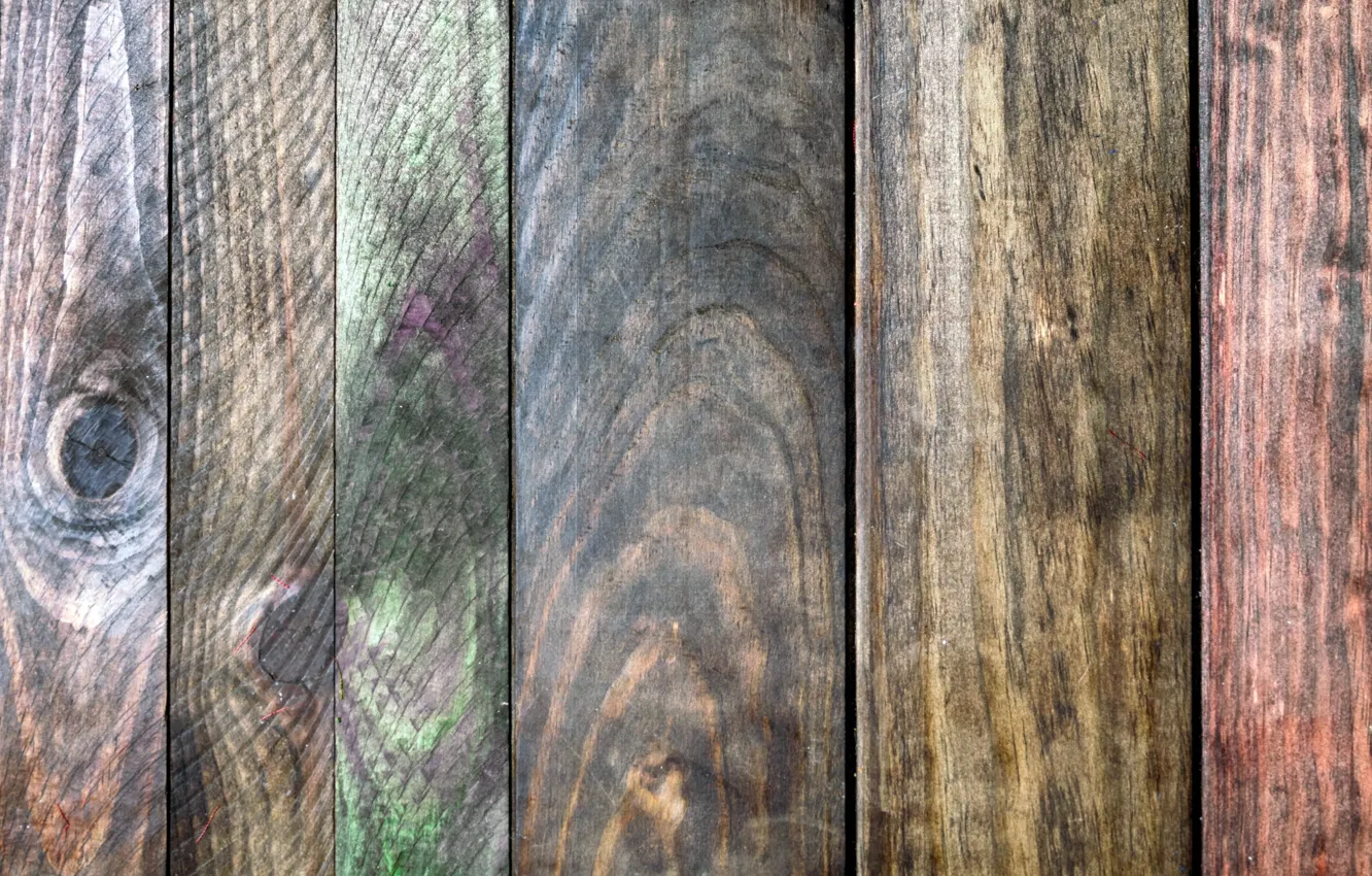 Photo wallpaper trees, color, texture
