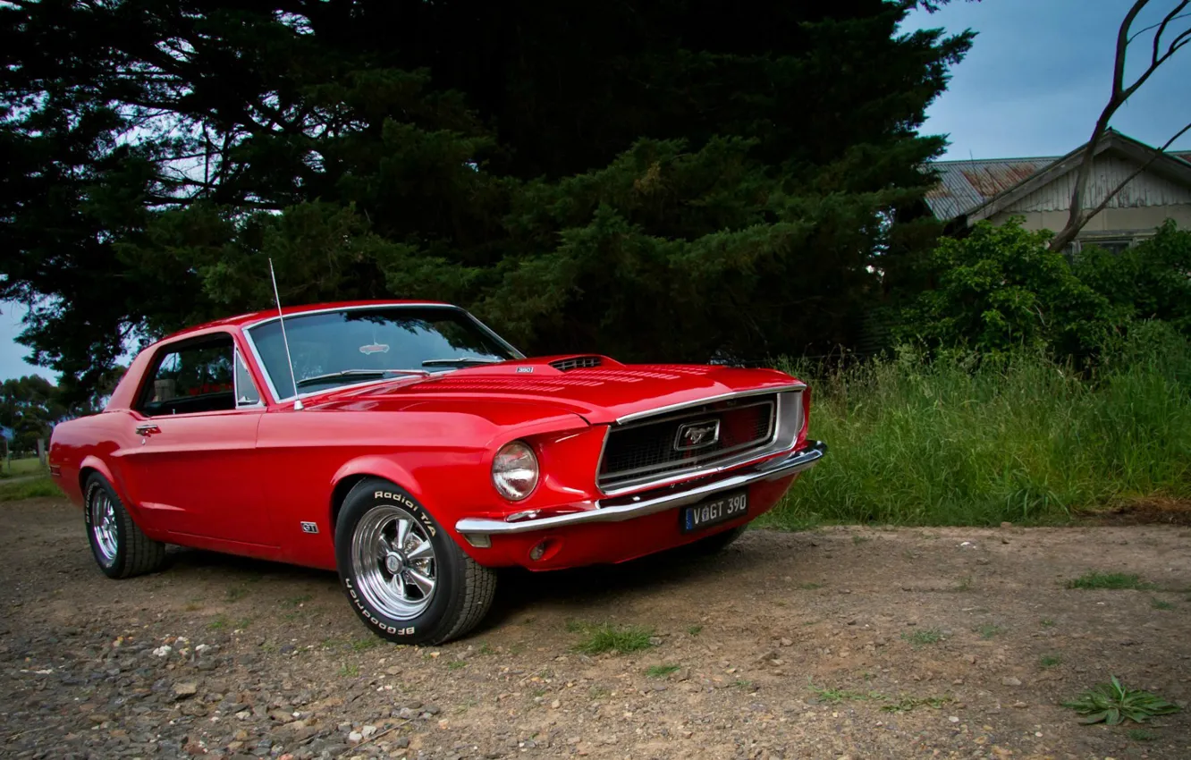 Photo wallpaper Mustang, Ford, red, Coupe, muscle car, '1968, GT 390
