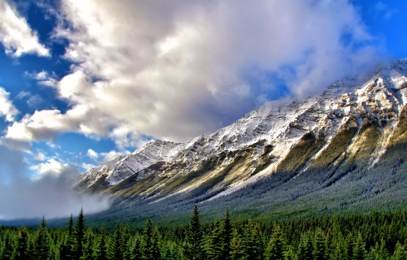 Photo wallpaper landscape, mountains, fog