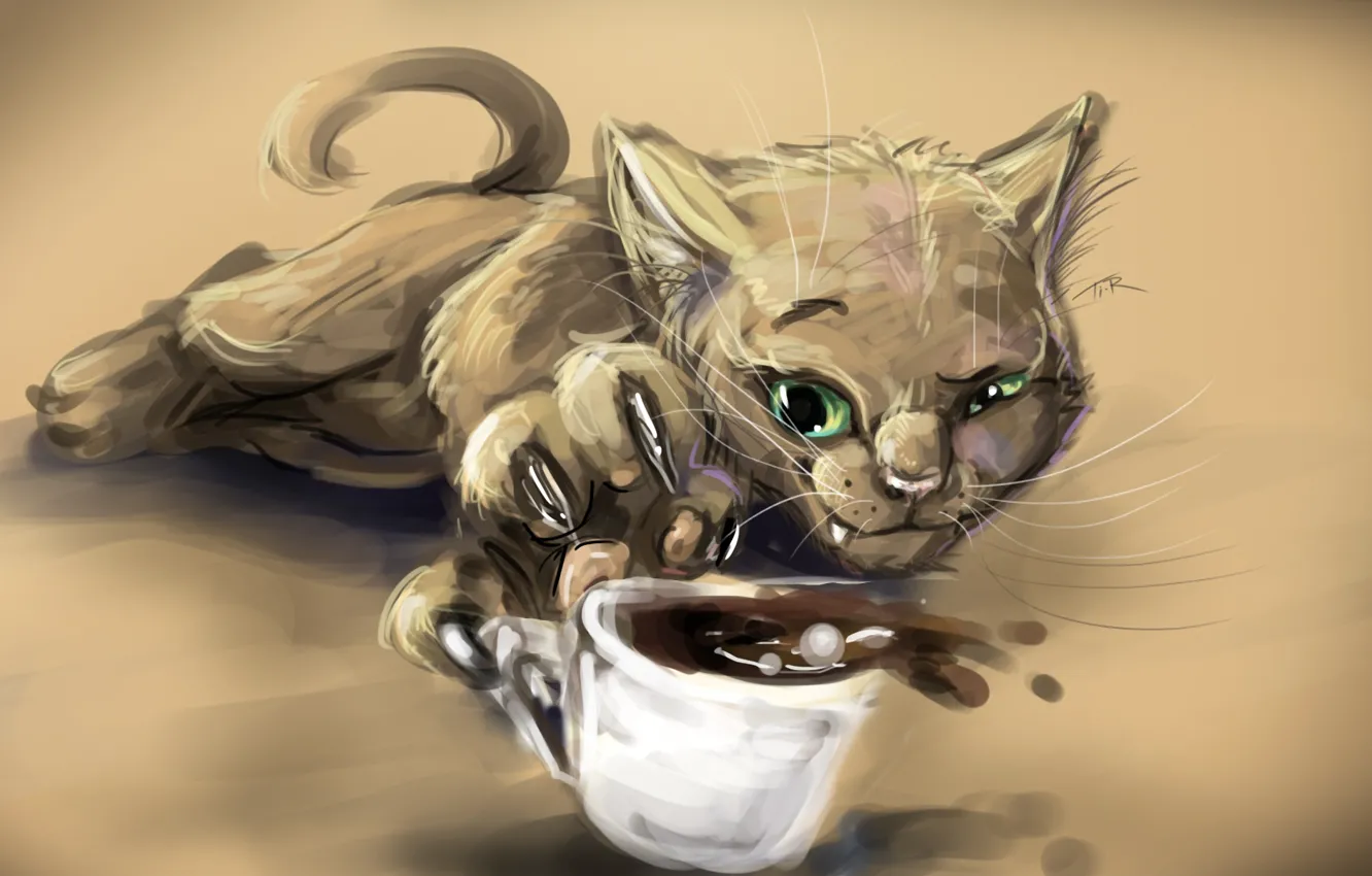 Photo wallpaper coffee, Cat, Cup, claws, squint, foxy