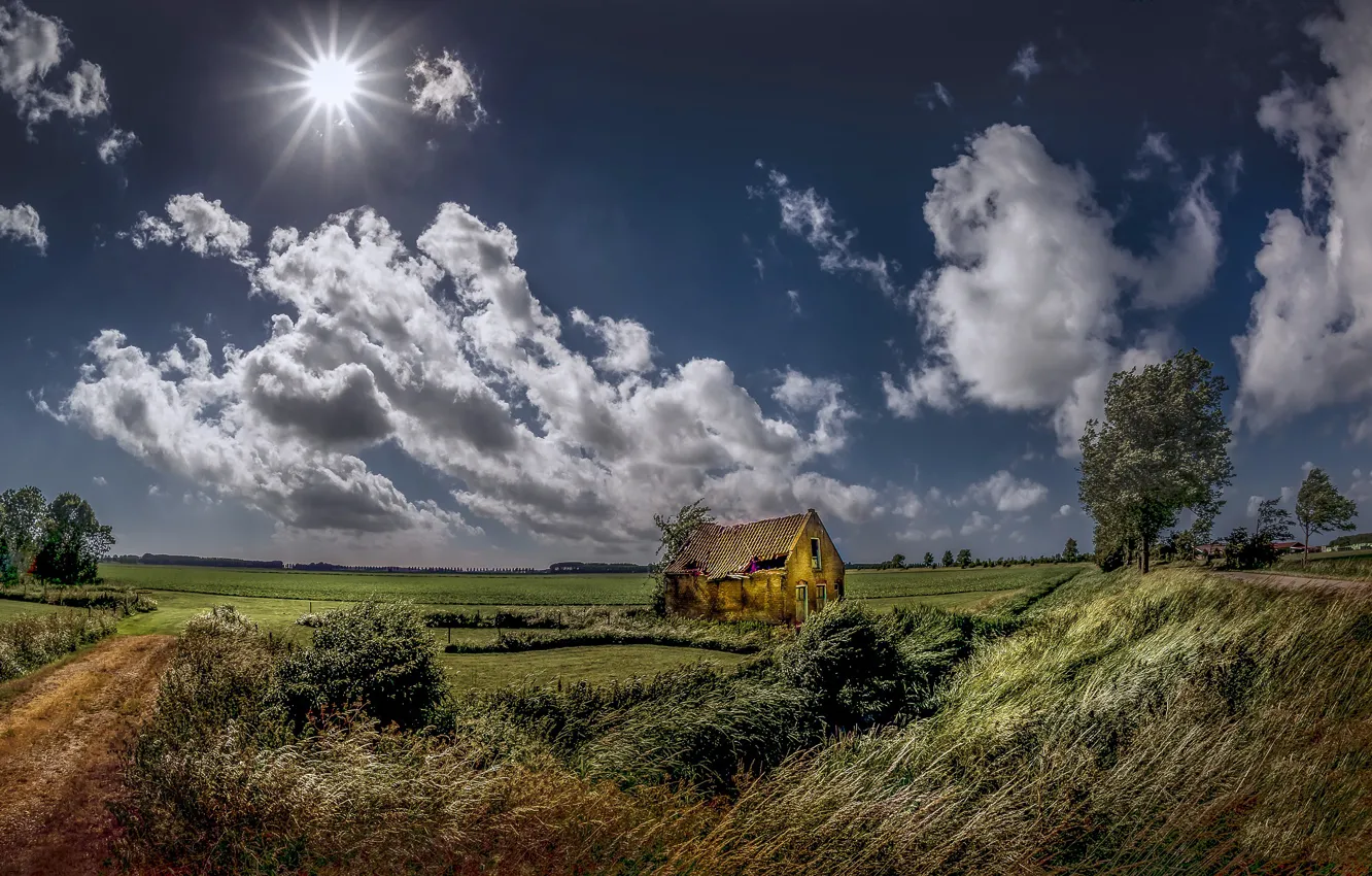 Photo wallpaper field, summer, the sky, house