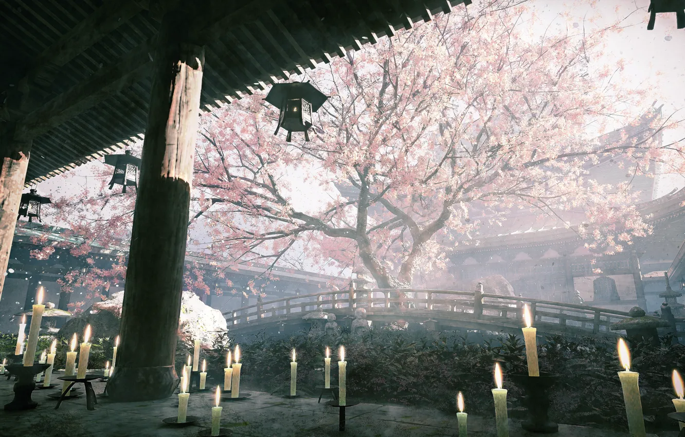 Photo wallpaper spring, candles, Sakura, temple, flowering