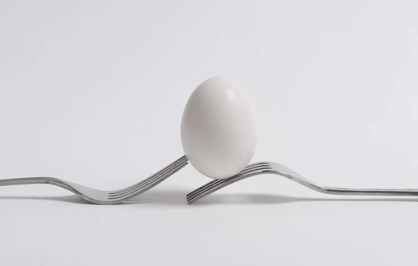 Photo wallpaper minimalism, fork, egg