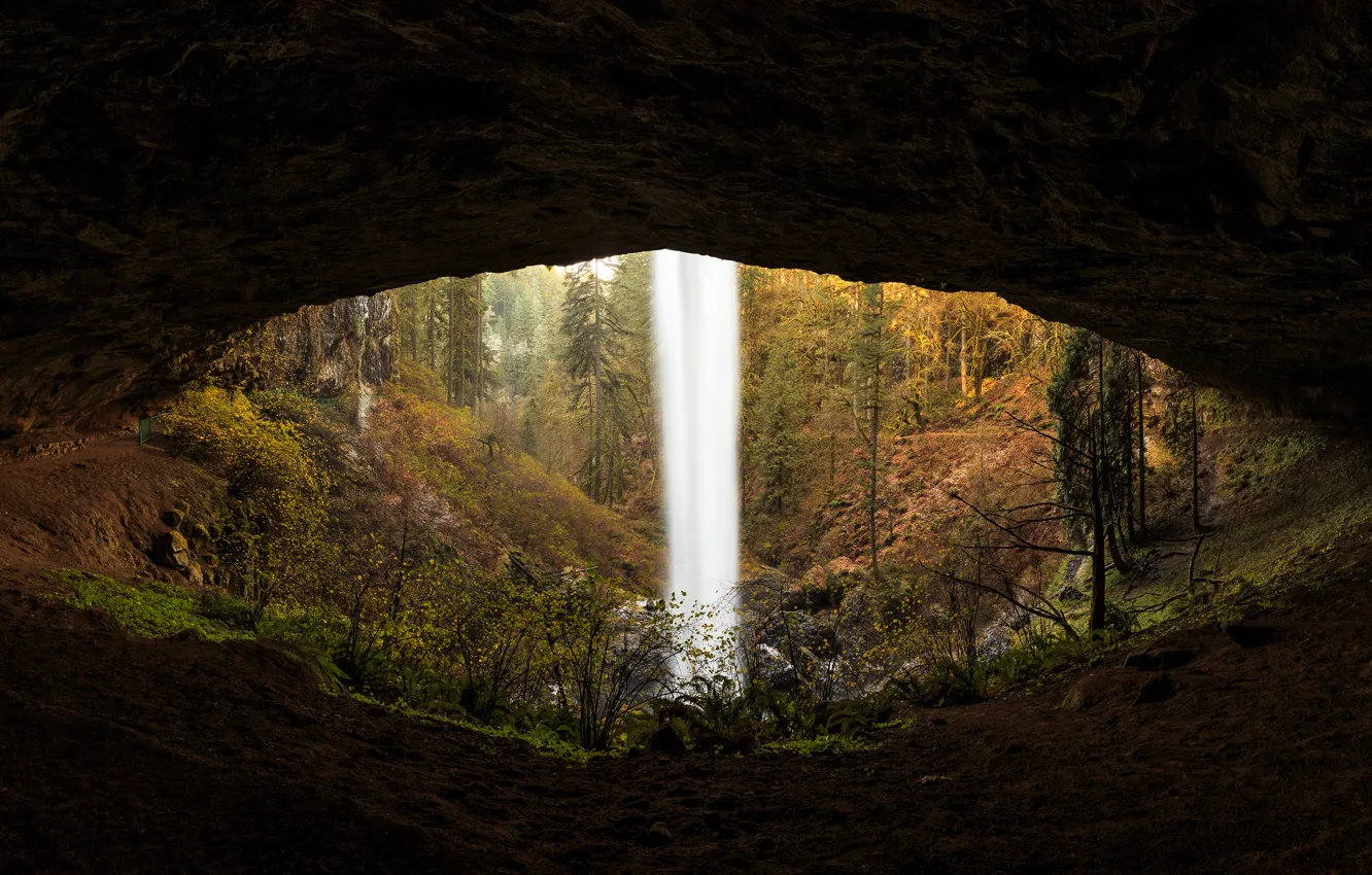 Photo wallpaper forest, trees, nature, waterfall, cave