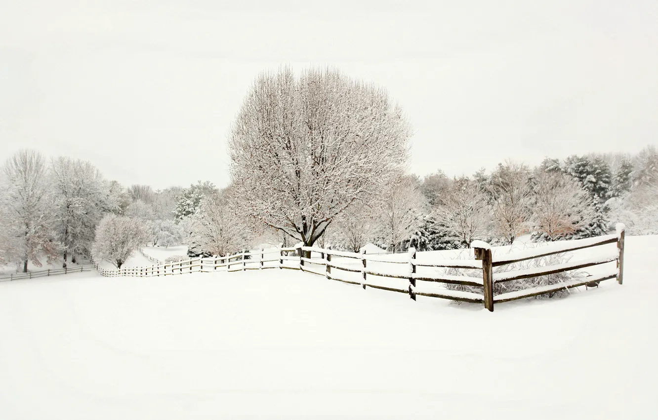 Photo wallpaper winter, snow, trees, landscape, nature, the fence, tree, fence
