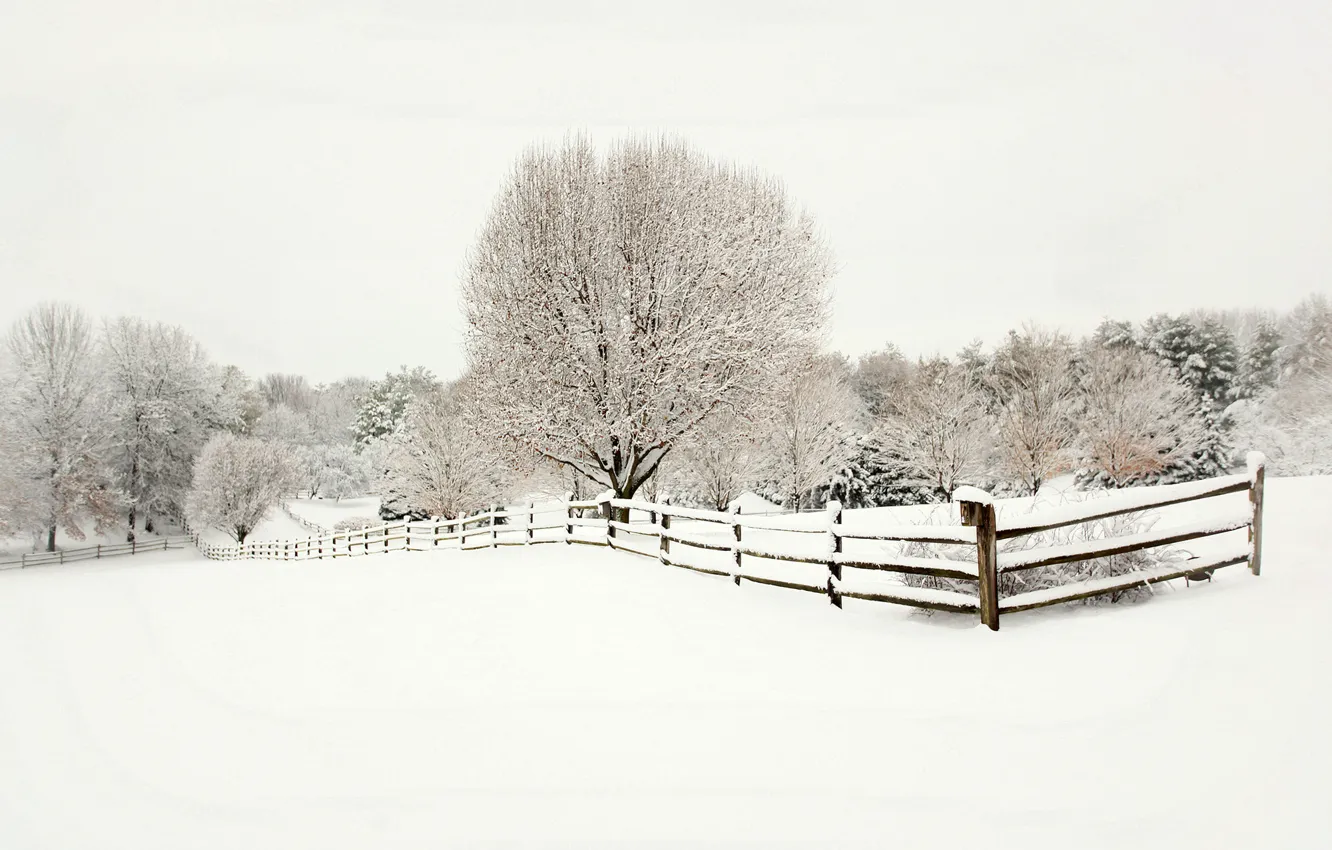 Photo wallpaper winter, snow, trees, landscape, nature, the fence, fence, ate