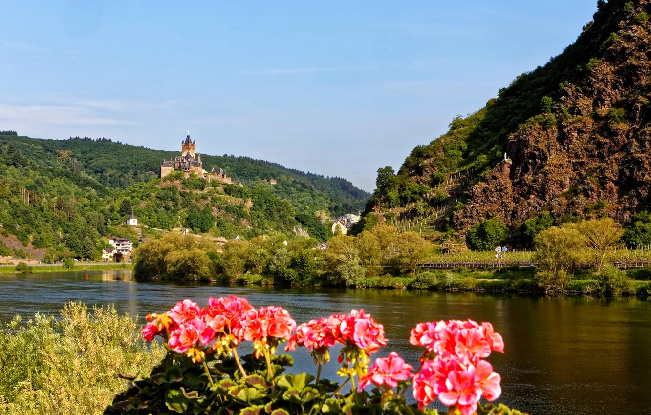 Photo wallpaper forest, flowers, mountains, river, castle, shore, Germany, Cochem