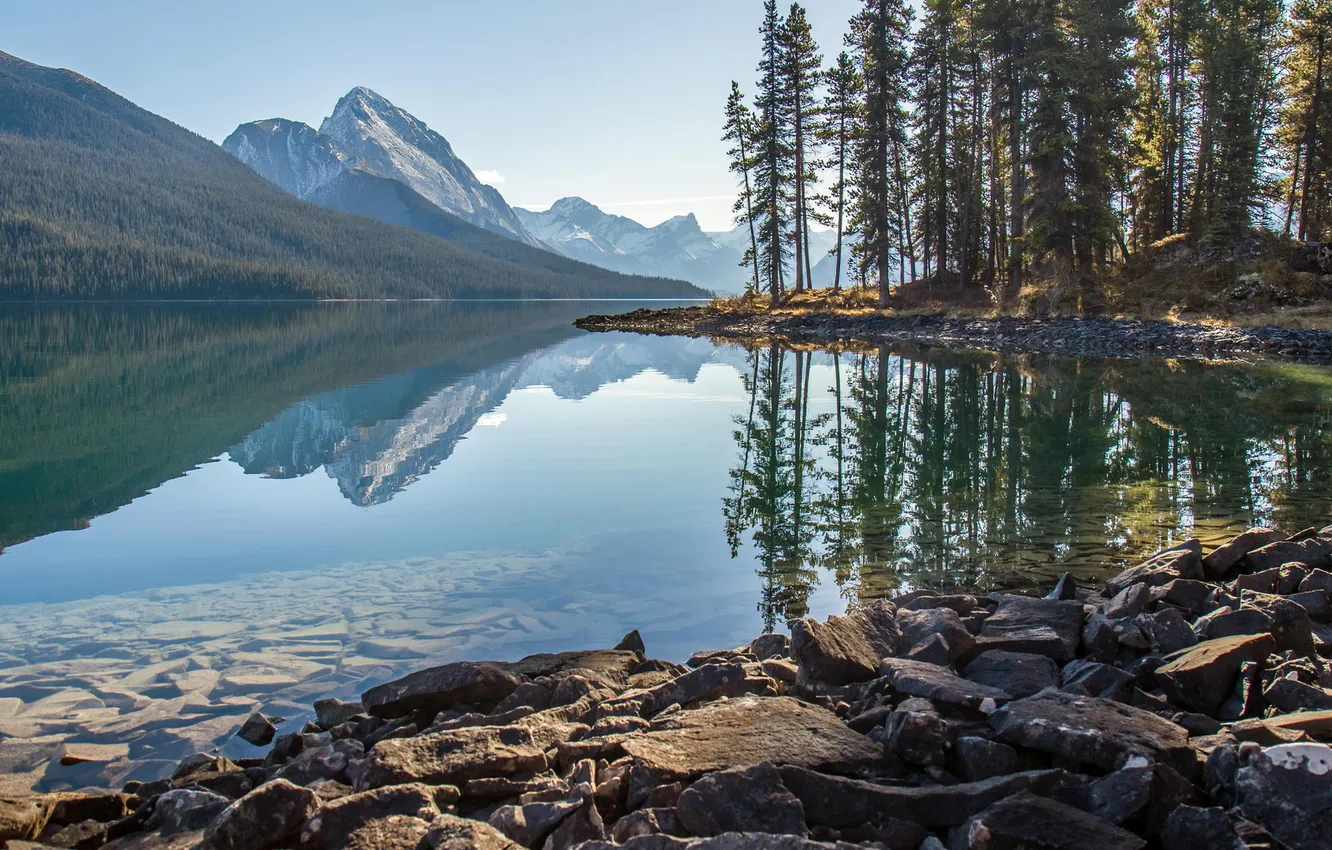 Photo wallpaper forest, trees, mountains, nature, lake, stones