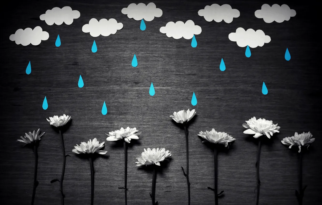 Photo wallpaper flowers, background, rain