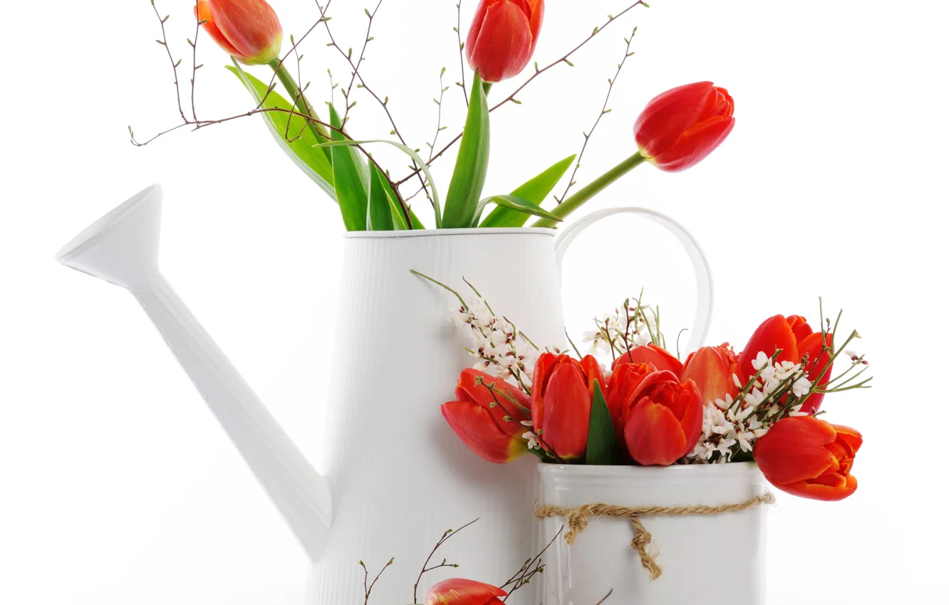 Photo wallpaper flowers, bouquet, tulips