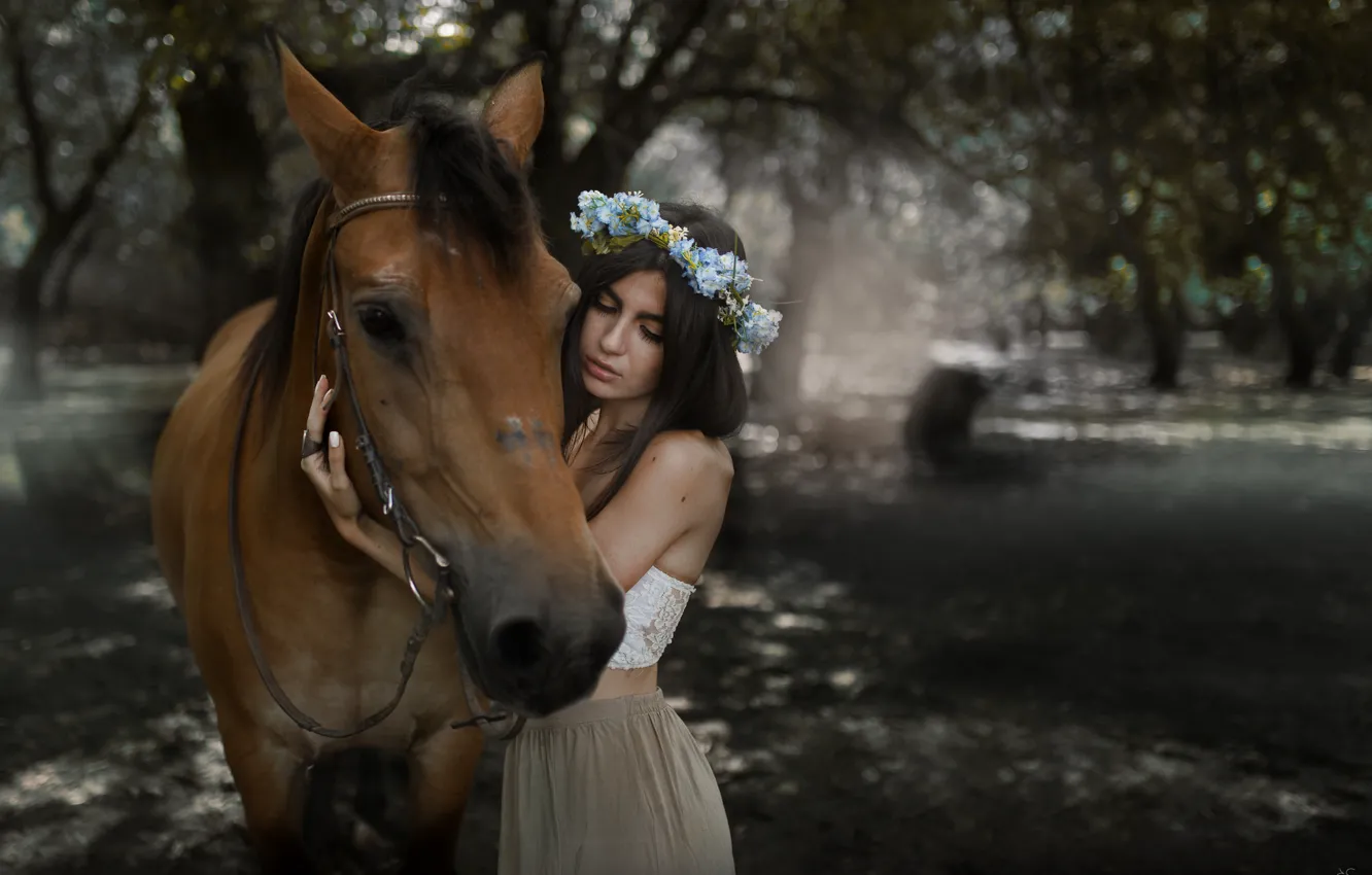 Photo wallpaper girl, horse, brunette