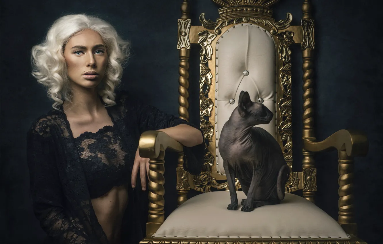 Photo wallpaper cat, girl, background