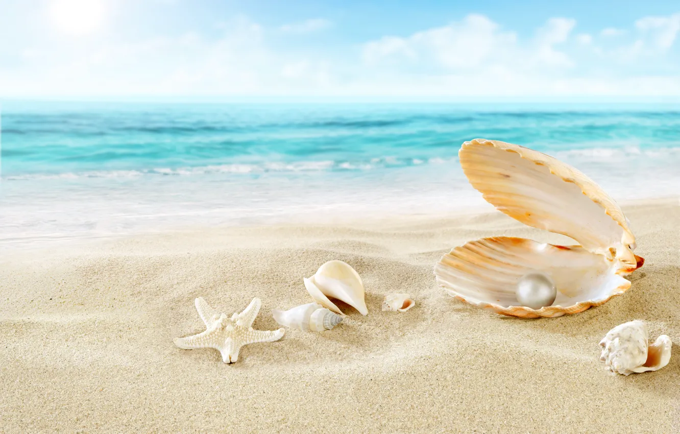 Photo wallpaper sand, sea, beach, clouds, nature, pearl, shell, starfish