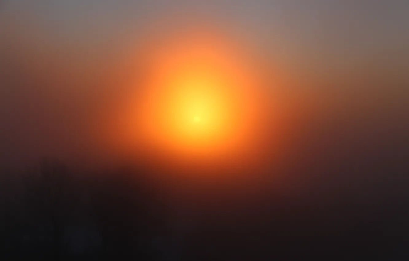 Photo wallpaper the sky, the sun, fog, dawn