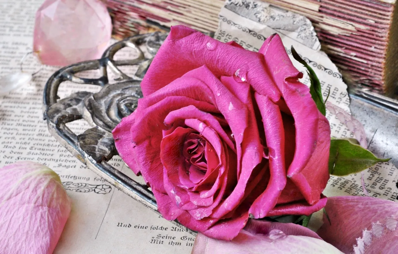 Photo wallpaper style, pink, rose, books, old, petals, Bud, page