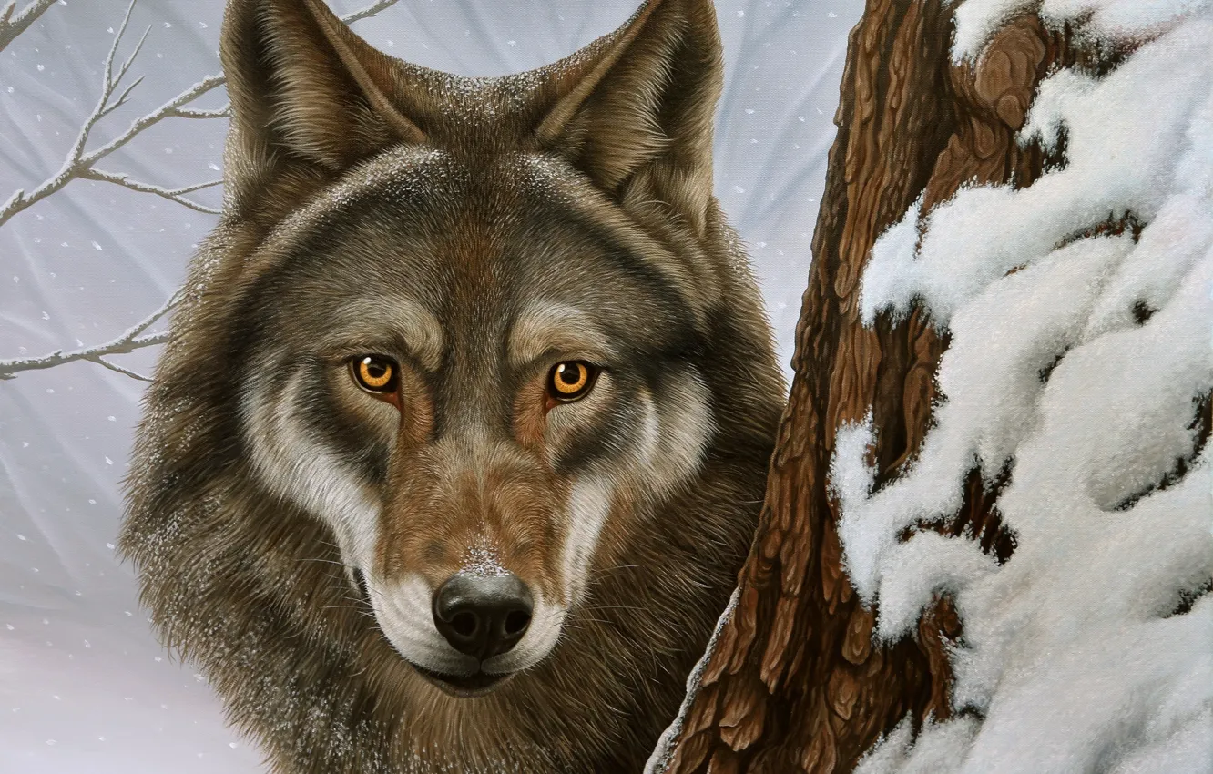 Photo wallpaper winter, look, snow, wolf, portrait