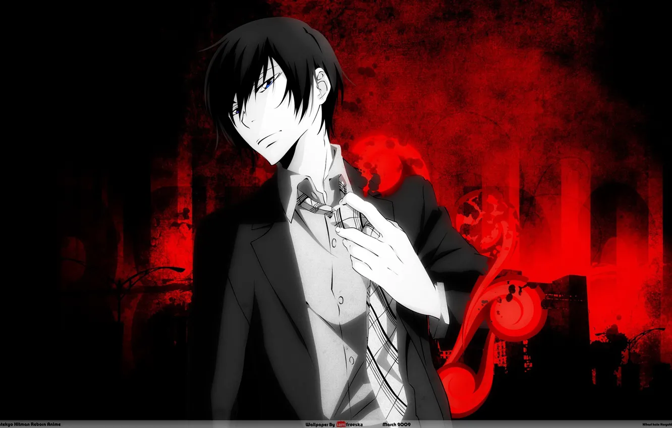 Photo wallpaper anime, art, Katekyo Hitman REBORN!, Hibari Kyoya
