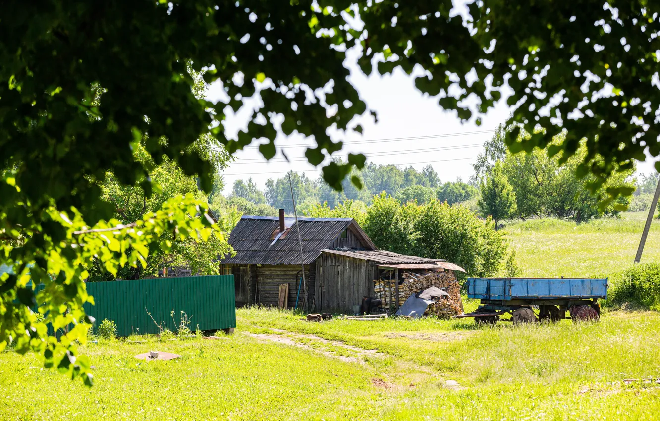 Photo wallpaper summer, village, Sunny morning, Smolensk oblast, the village in the summer, nature of russia, village …