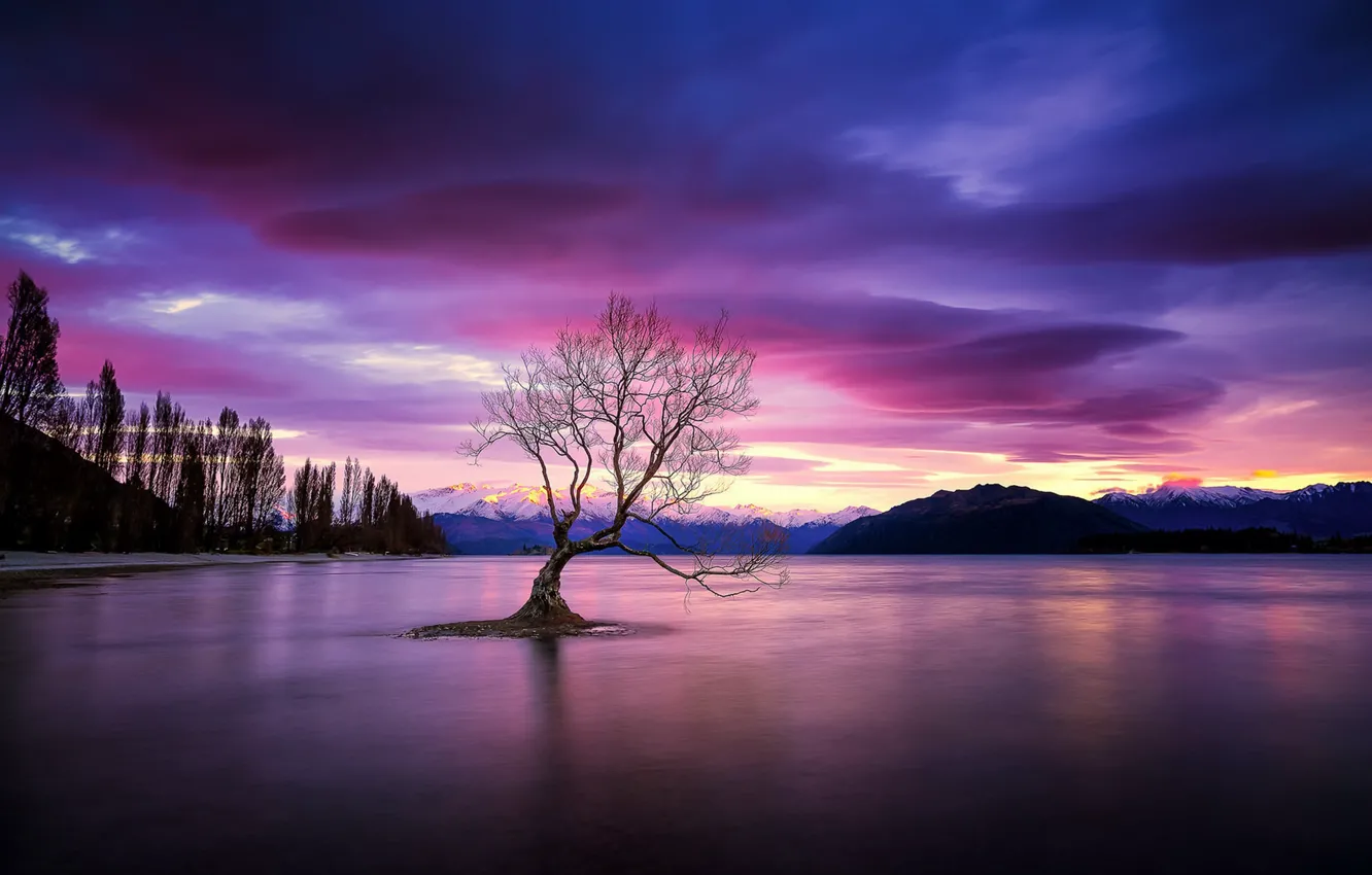 Photo wallpaper trees, night, lake