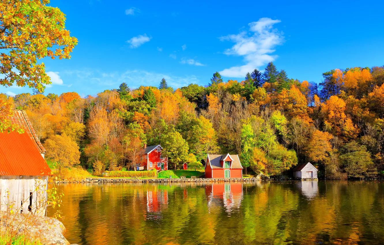 Photo wallpaper autumn, forest, the sky, trees, reflection, blue, blue, shore