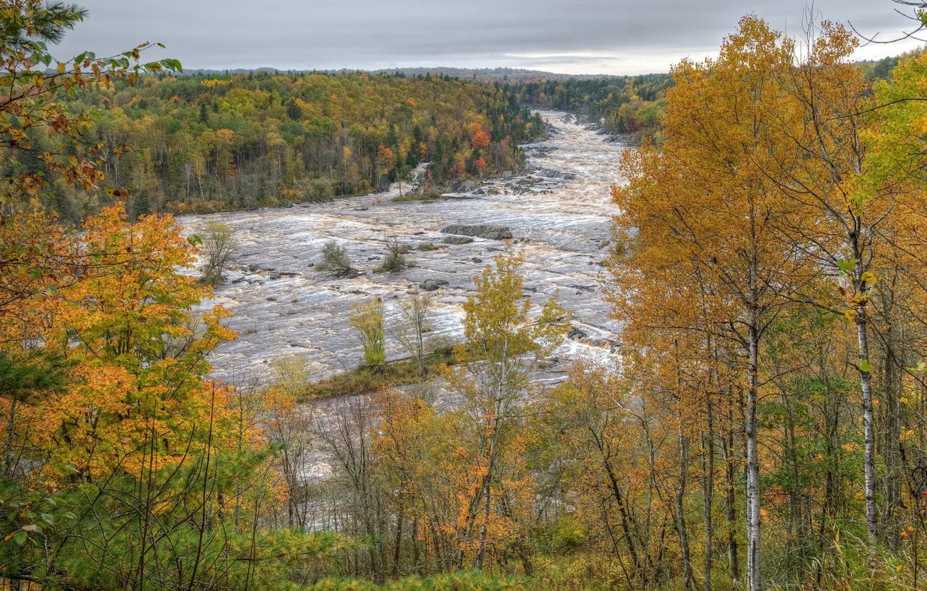 Photo wallpaper autumn, forest, river, birch