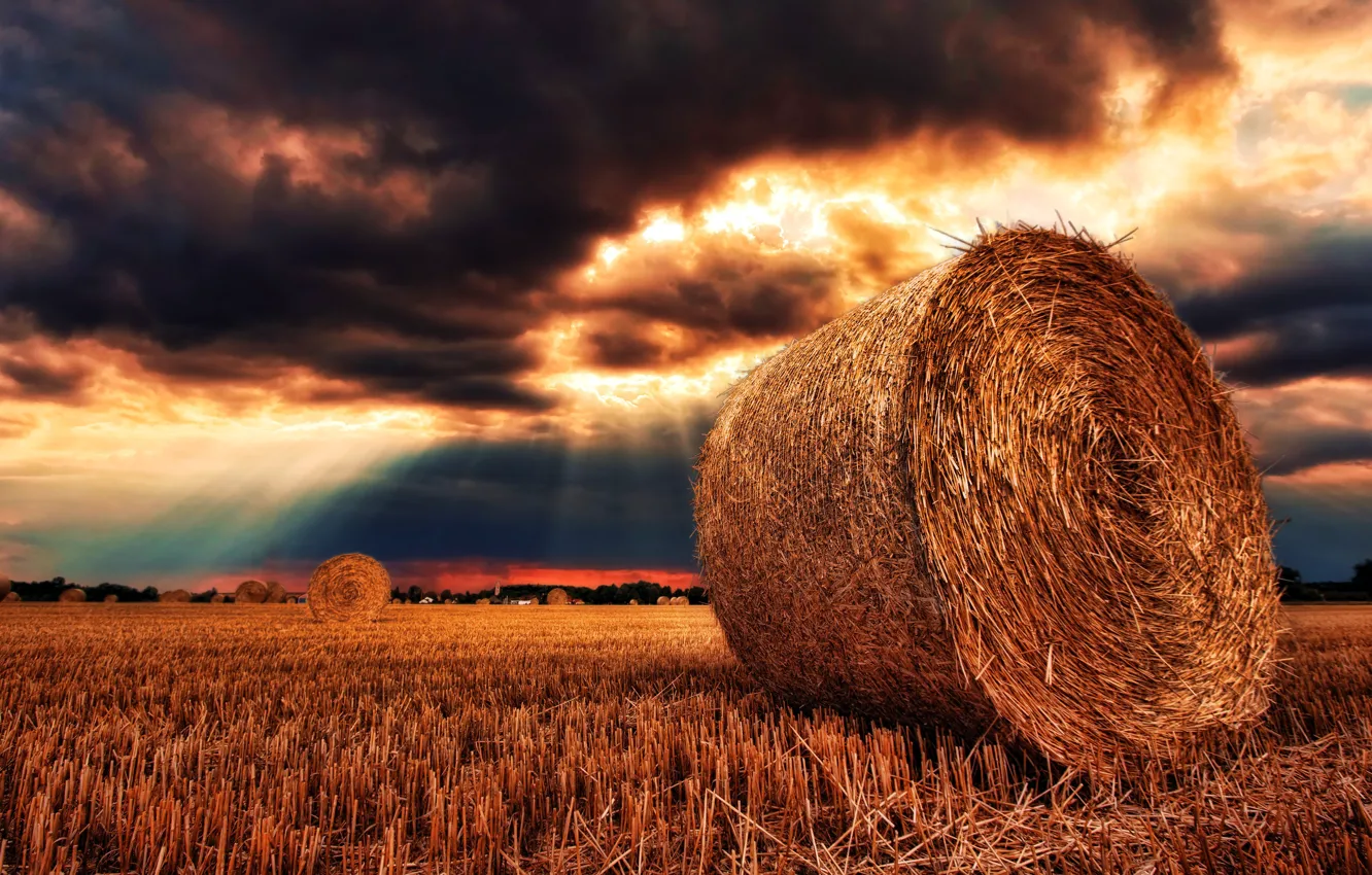 Photo wallpaper field, forest, the sun, clouds, rays, hay, forest, field