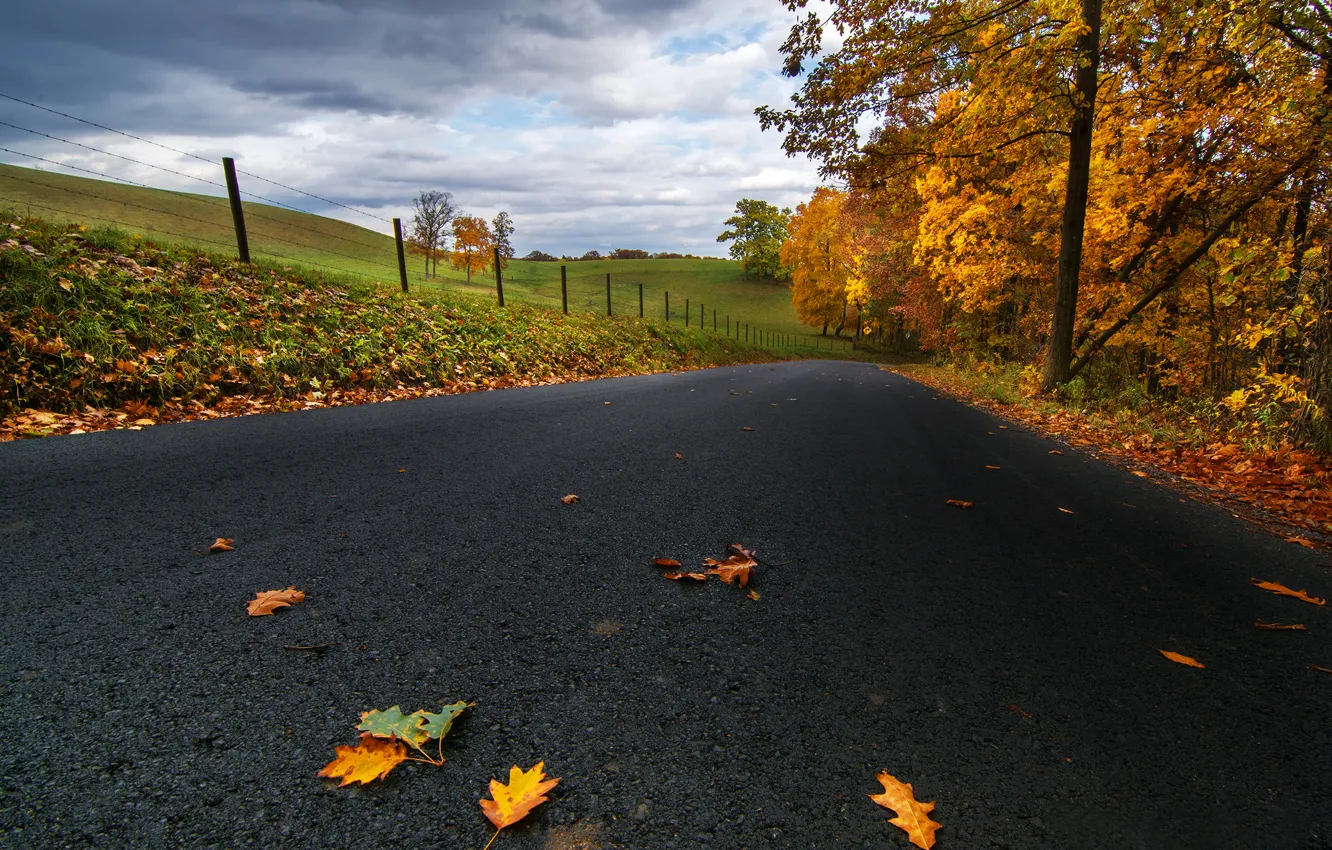 Photo wallpaper road, autumn, asphalt, leaves, clouds, trees, nature, field