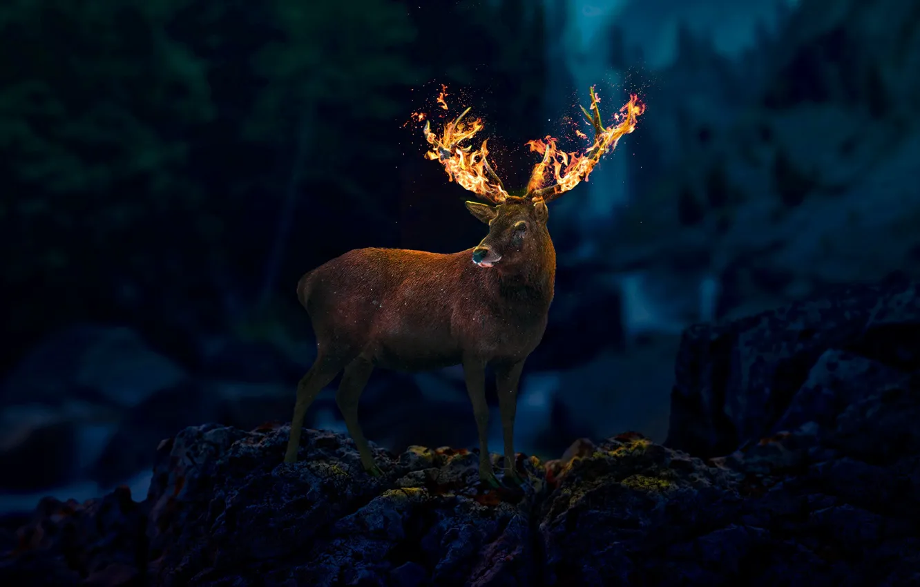 Photo wallpaper abstract, fire, forest, night, dreams, deer, abstaction, nightforest