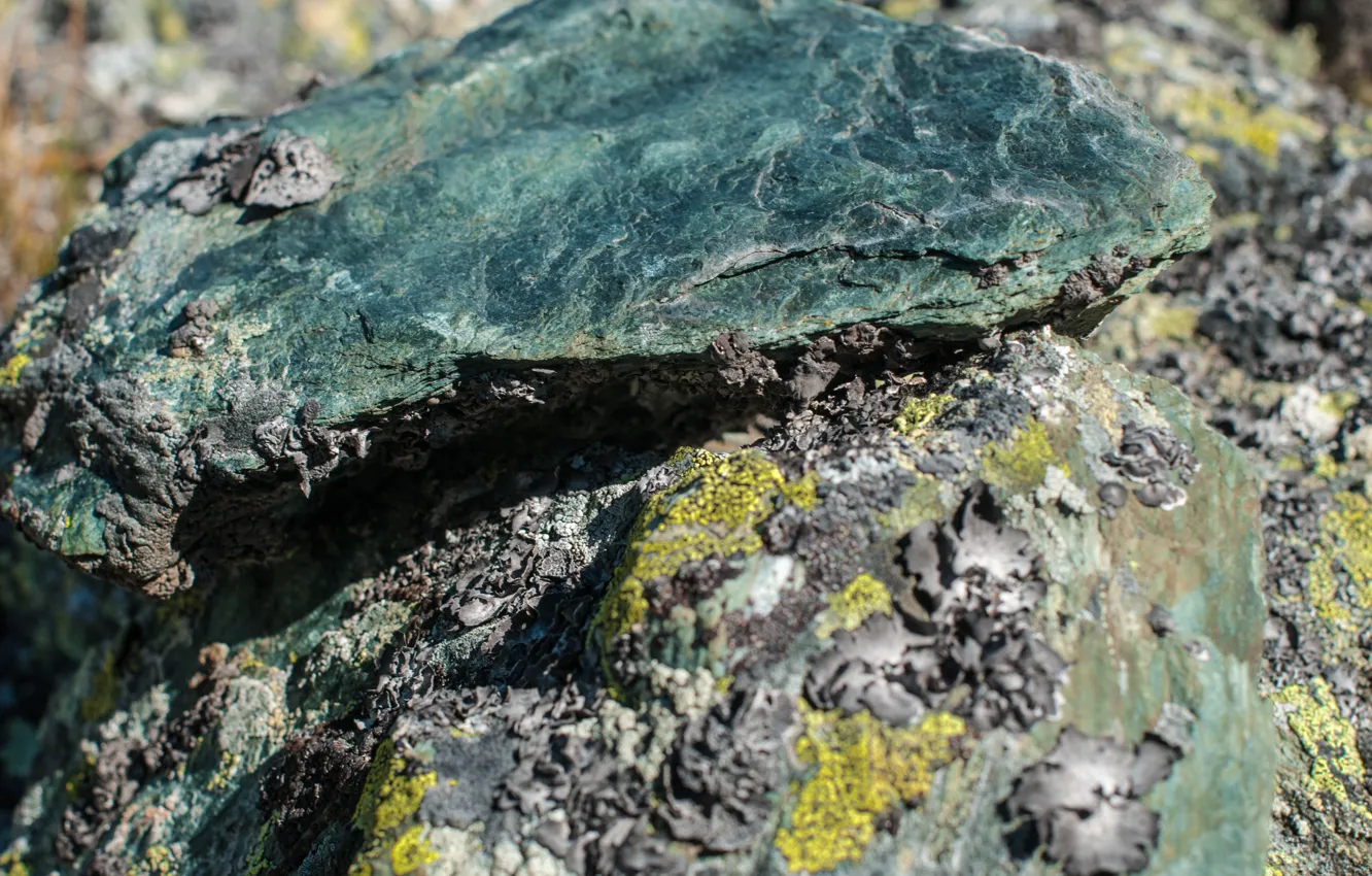 Photo wallpaper stones, moss, Russia, Altay