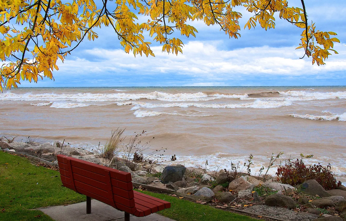 Photo wallpaper sea, wave, the sky, leaves, branches, bench