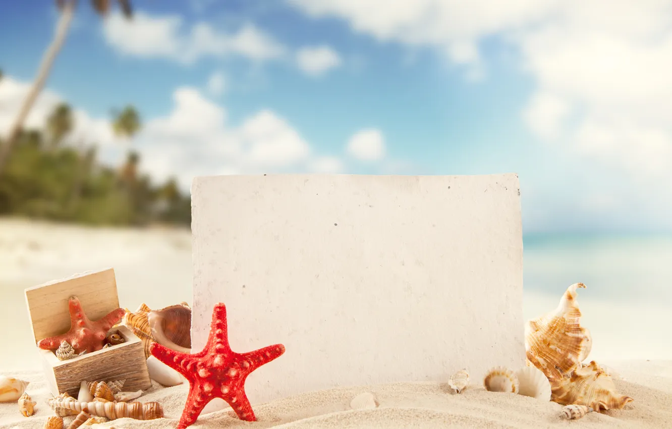 Photo wallpaper sand, sea, beach, summer, the sun, stay, shell, summer