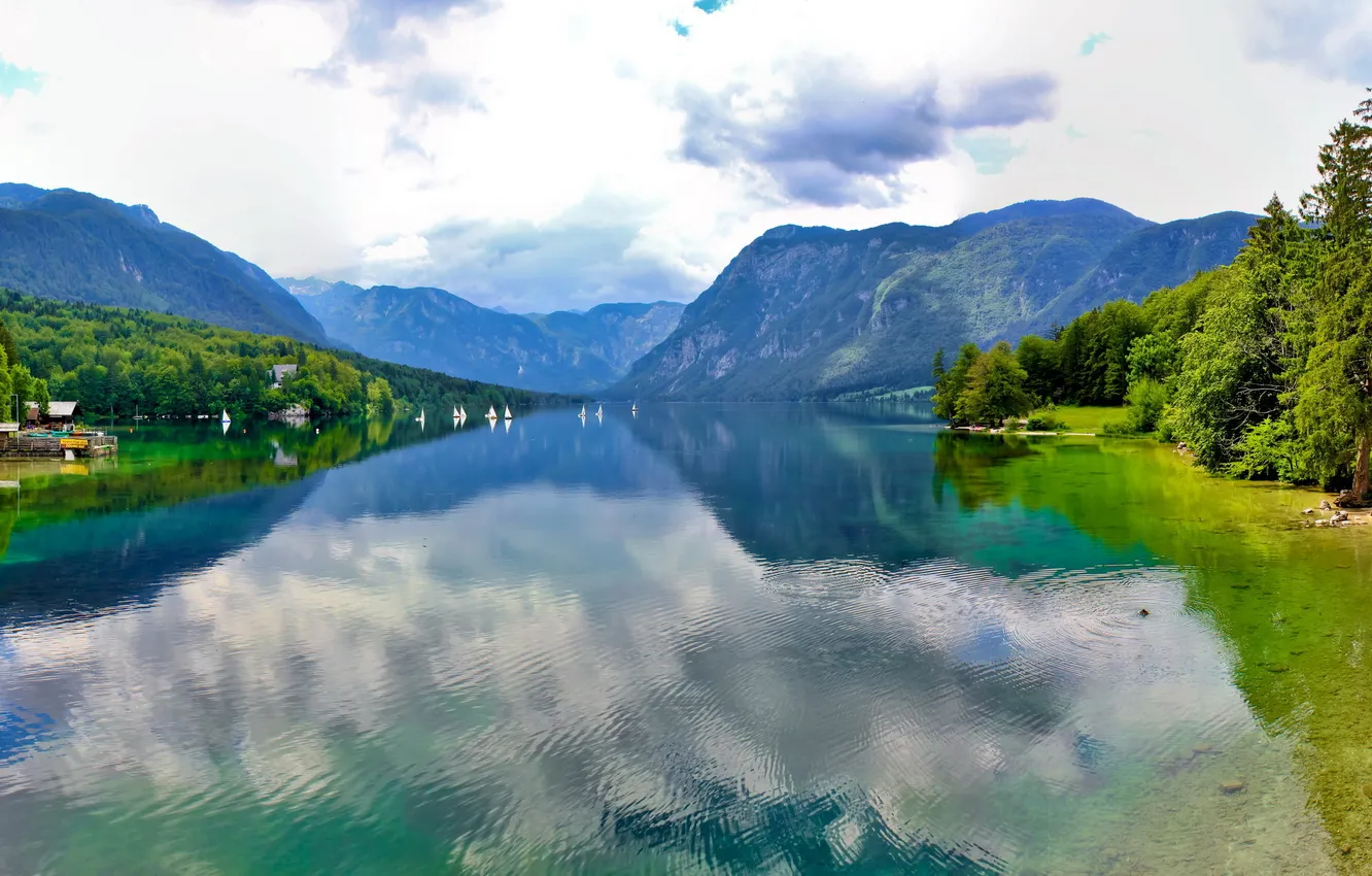Photo wallpaper trees, landscape, mountains, river