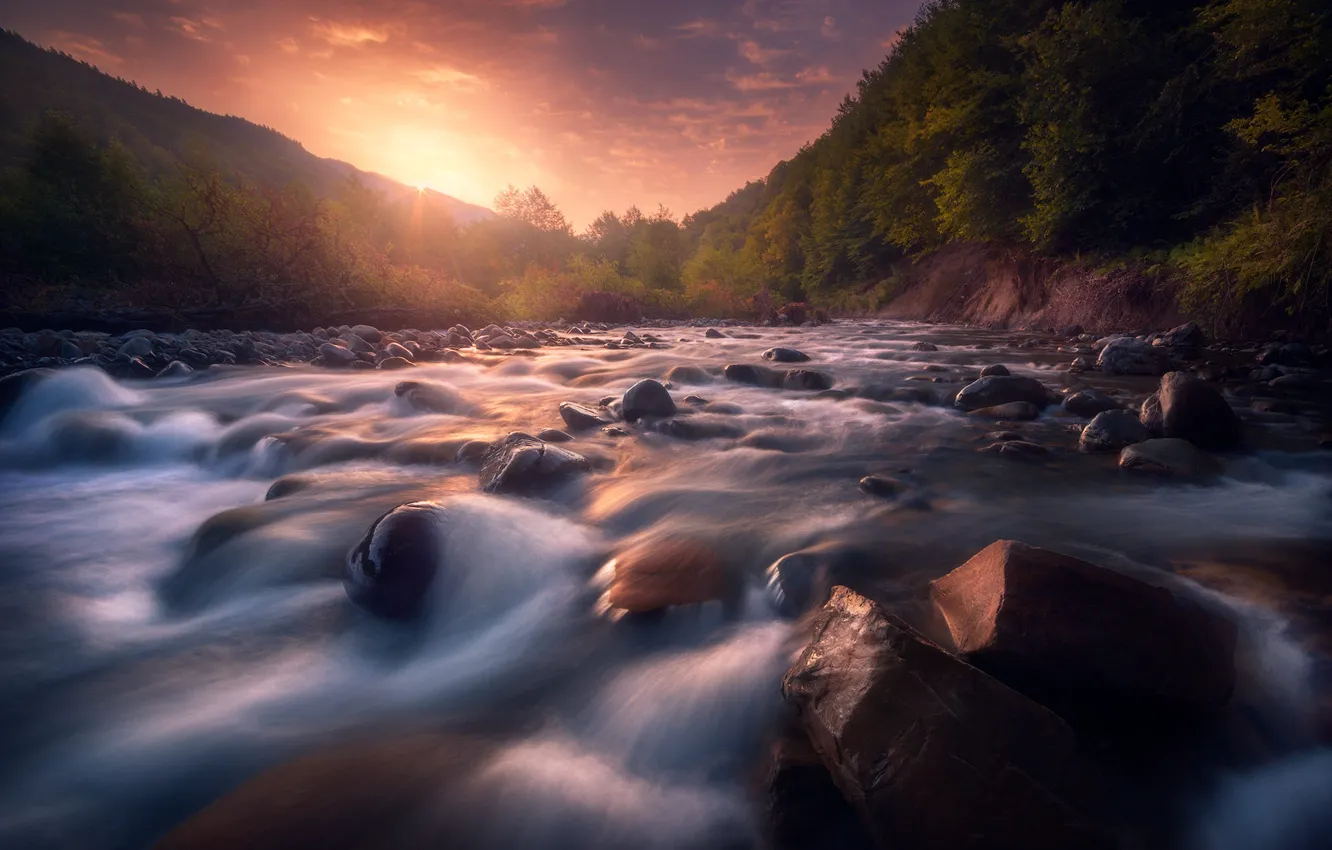Photo wallpaper forest, the sun, sunset, river, stones, shore, for