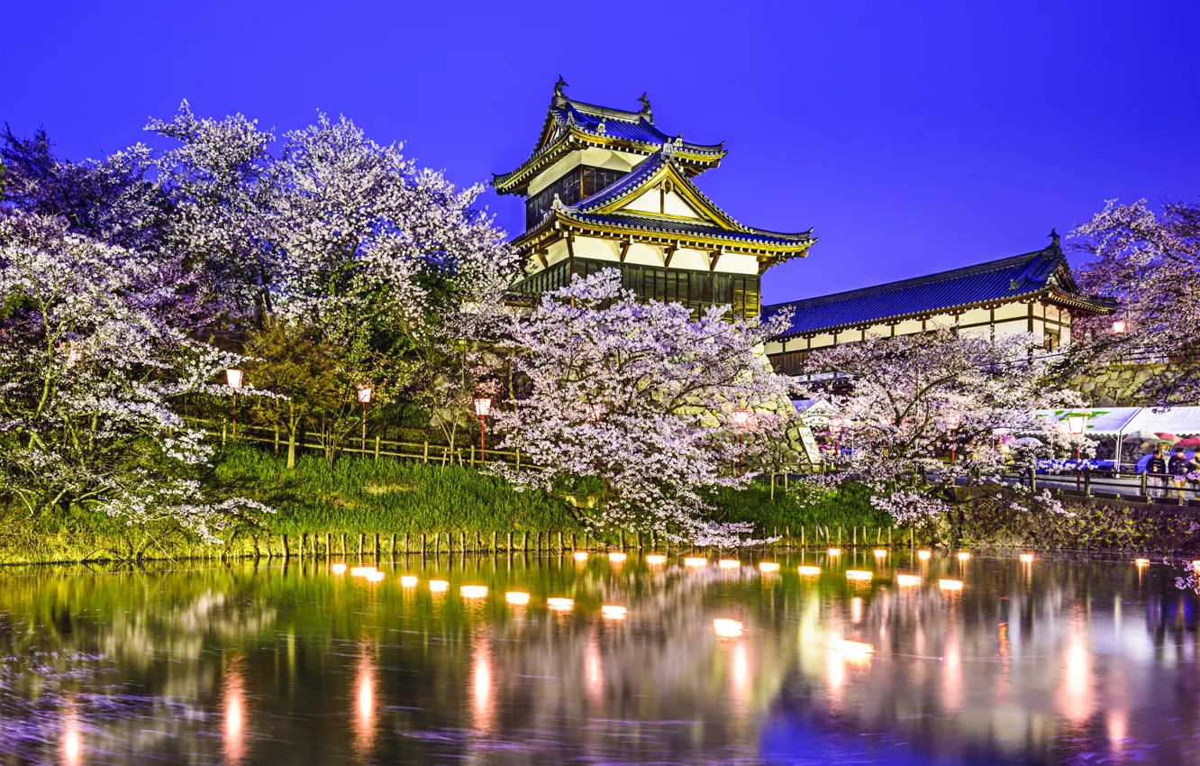 Photo wallpaper trees, lights, pond, Park, reflection, spring, Japan, Sakura