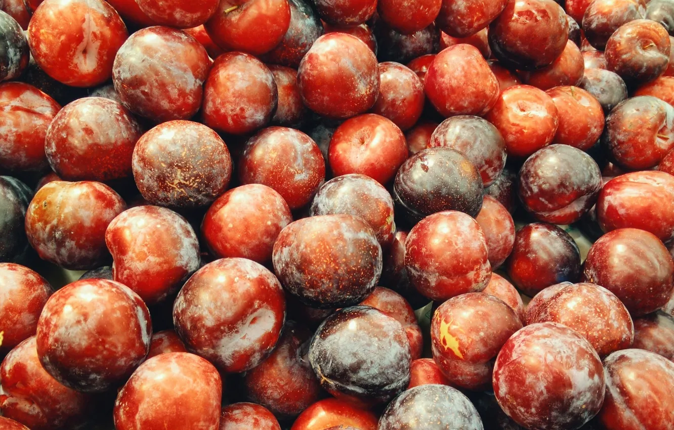 Photo wallpaper red, fruit, purple, magenta, plum, Plums