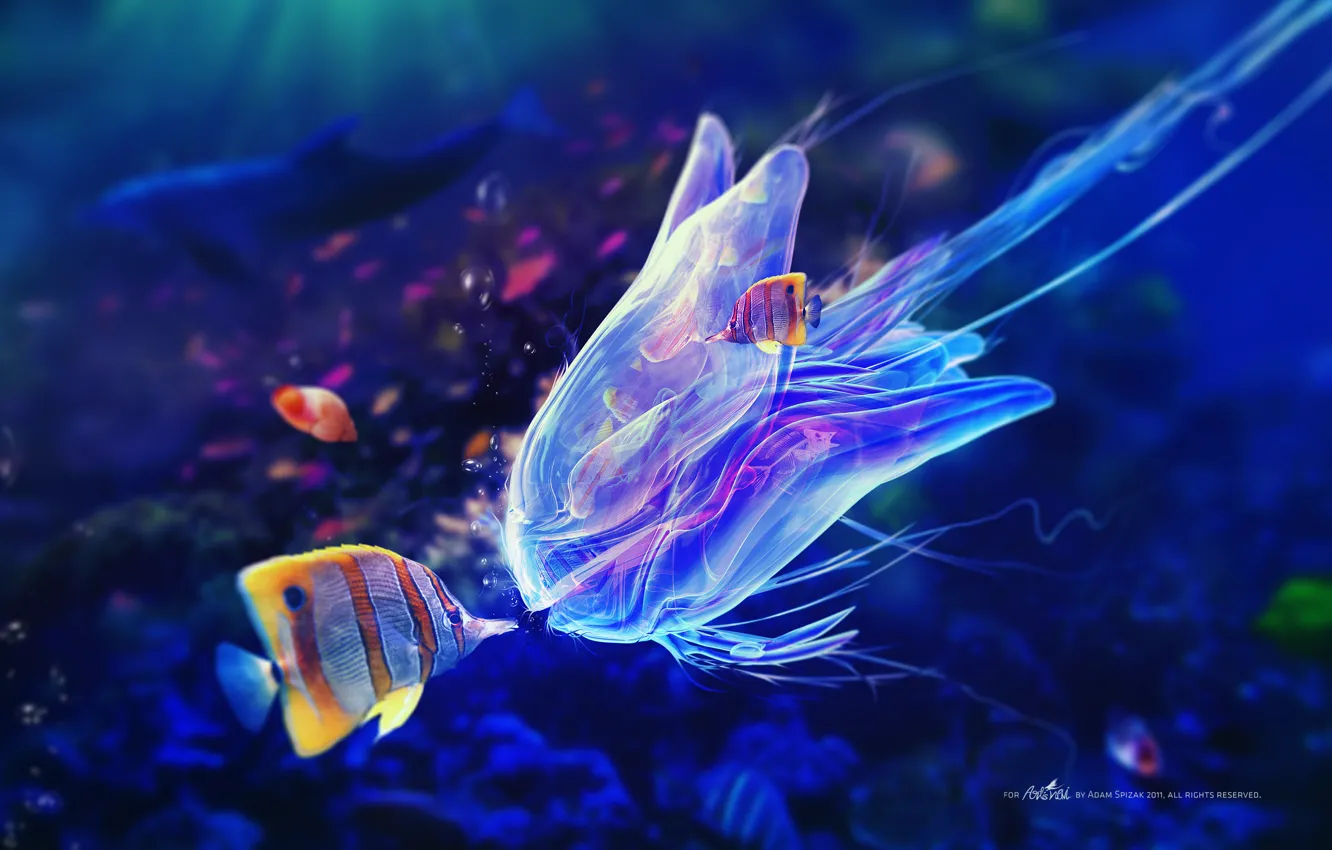 Photo wallpaper fish, bubbles, blue, Medusa, tentacles, under water