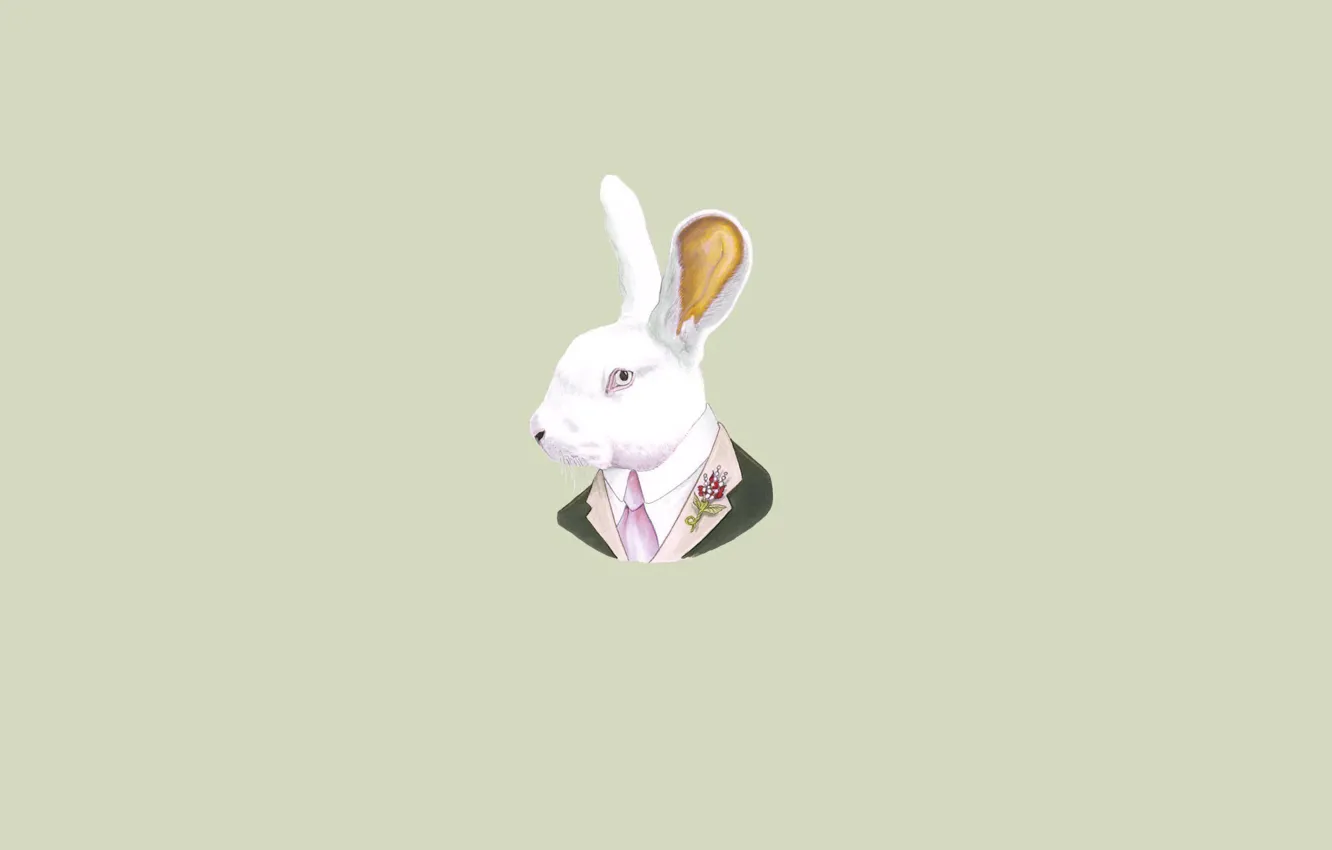 Photo wallpaper hare, minimalism, head, rabbit, tie, light background, rabbit, soup