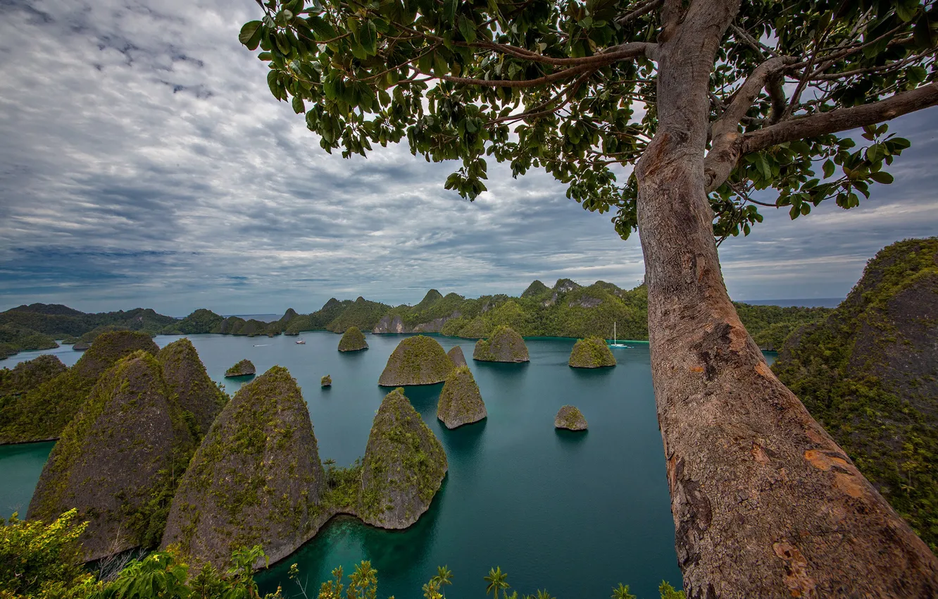 Photo wallpaper trees, rocks, Indonesia, Bay