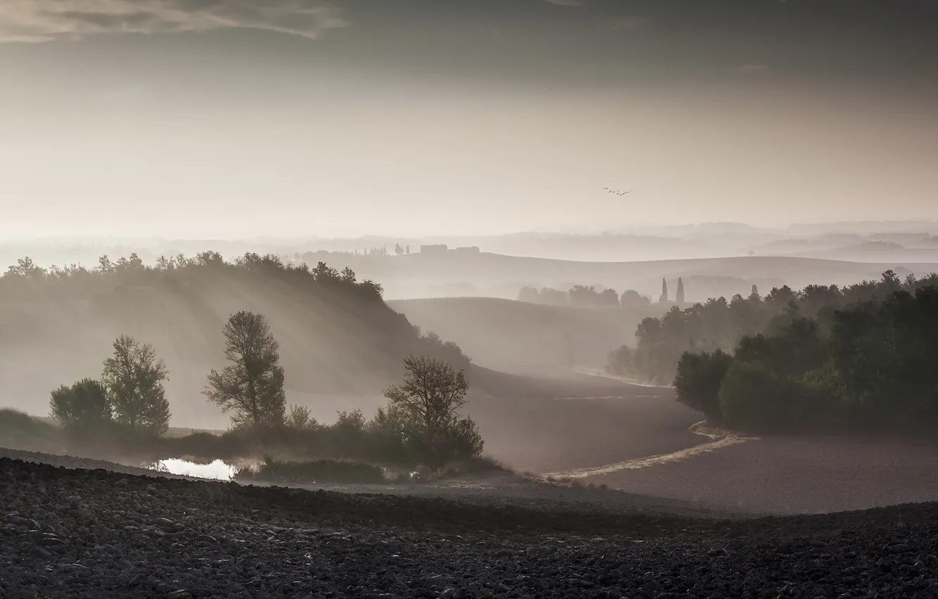 Photo wallpaper landscape, morning, arable land