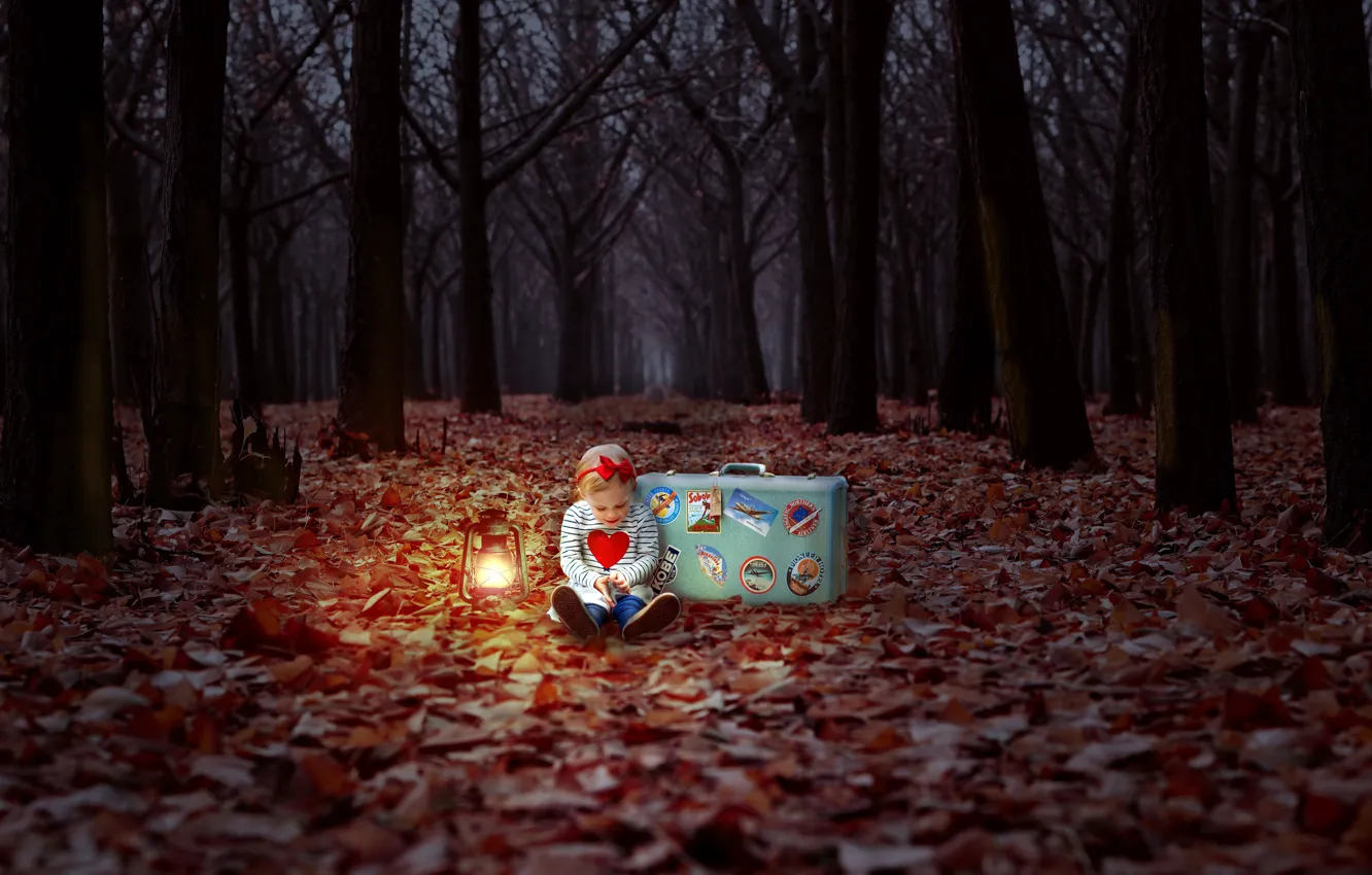 Photo wallpaper autumn, forest, girl, suitcase