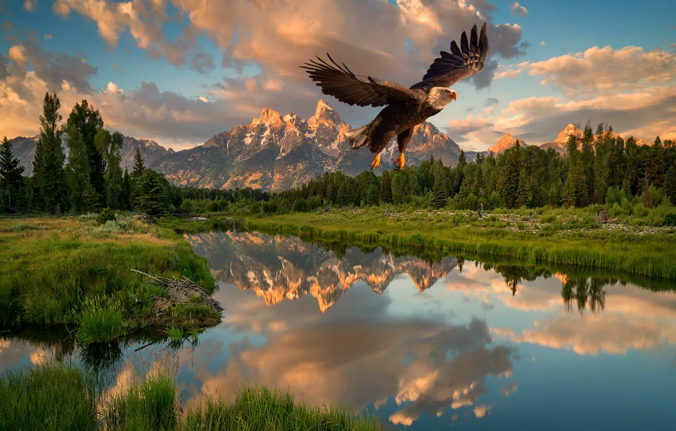 Photo wallpaper the sky, water, flight, landscape, mountains, Orlan