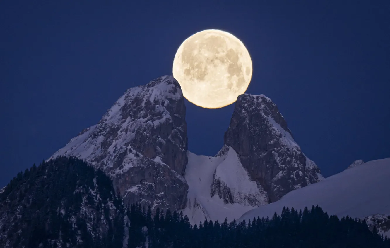 Photo wallpaper winter, snow, trees, mountains, night, nature, rocks, the moon