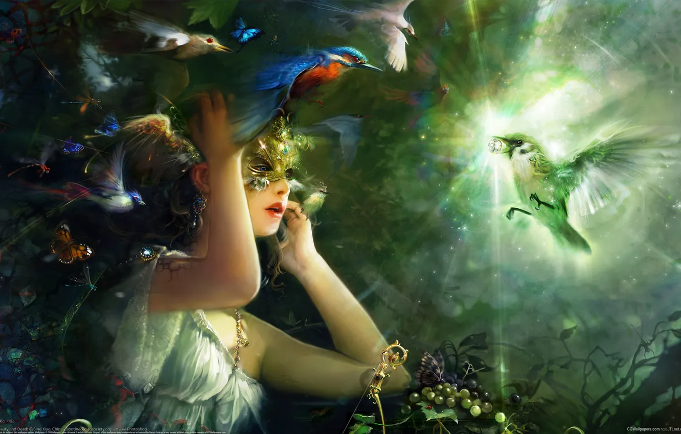 Photo wallpaper girl, light, Birds, mask, diamond, Bing Xiao