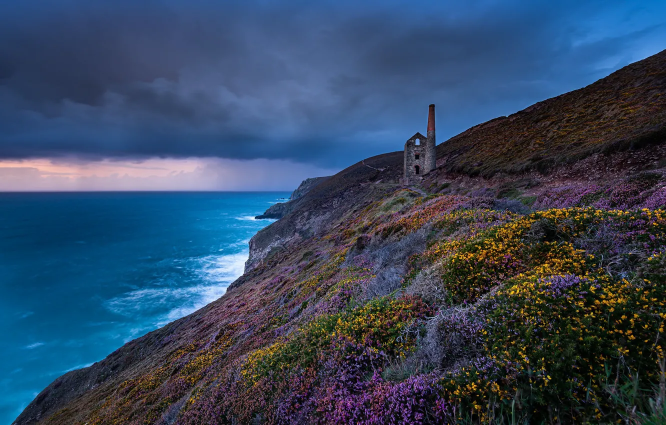 Photo wallpaper sea, flowers, coast, England, England, Cornwall, Cornwall, Celtic sea