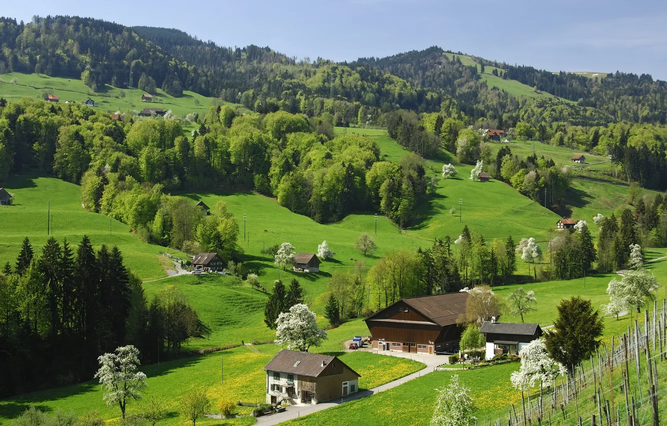 Photo wallpaper trees, mountains, Switzerland, Switzerland, nature, nature.