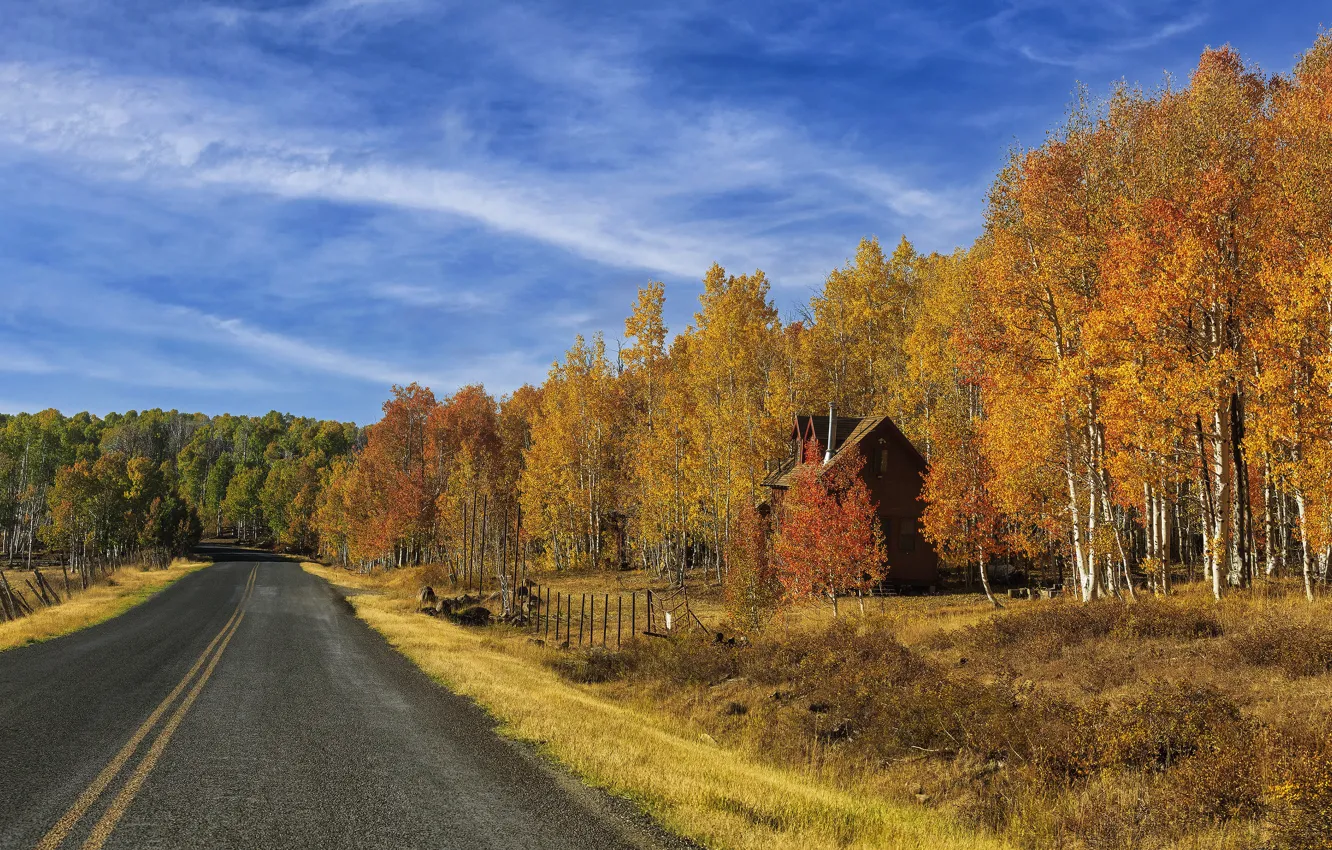 Photo wallpaper road, autumn, forest, the sky, grass, clouds, trees, yellow